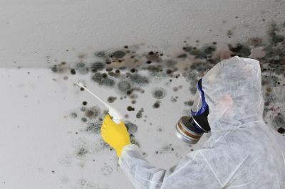 Avoid Mold and Mildew in Your Basement!